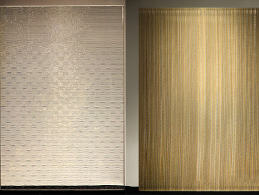 Metallo decorativo Mesh Laminated Glass Advanced Buildings del film di PVB